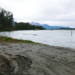 Matanuska River blasting into soft riverbank