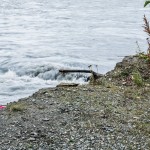 water rolling over log