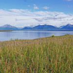 Photo of hay flats and tidal area of Knik Arm in front of the Coastal Park. By Patty Sullivan, MSB Public Affairs