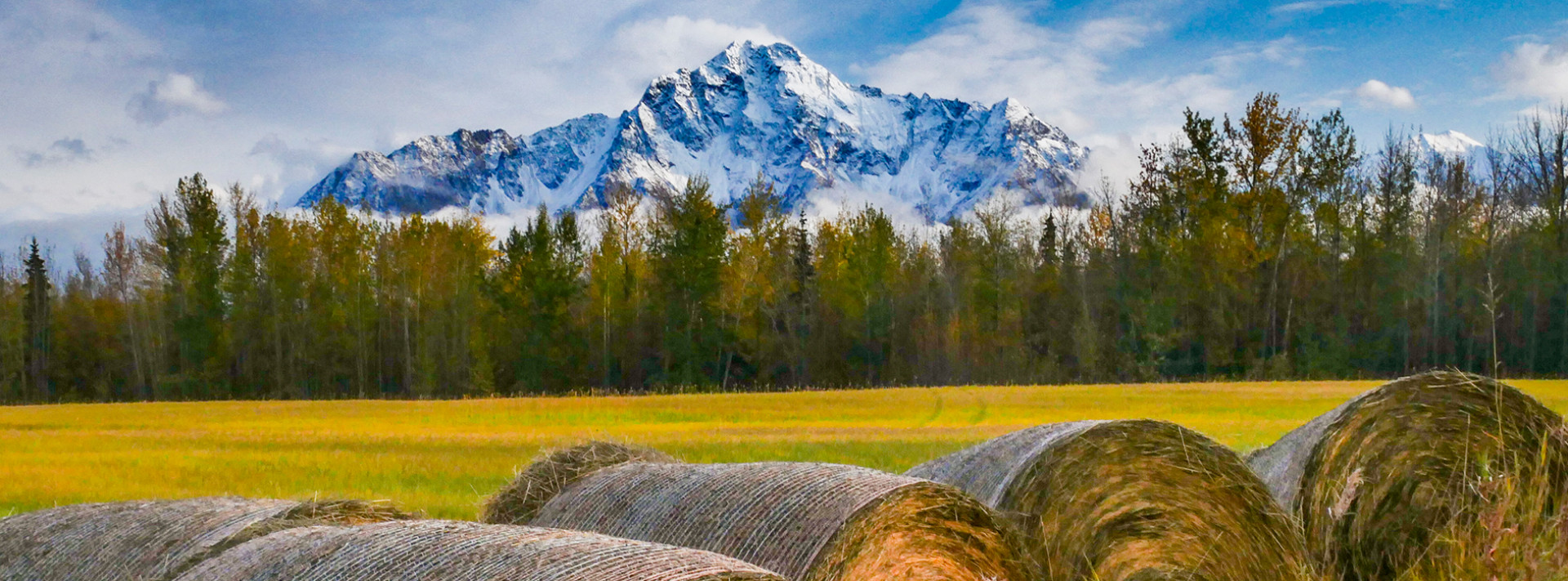 Matanuska Susitna Borough Home