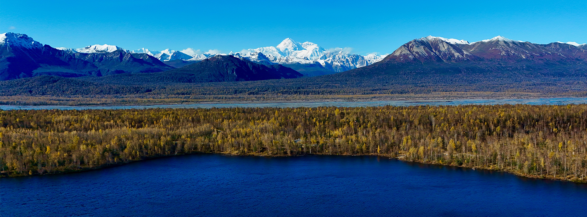 Denali Gold