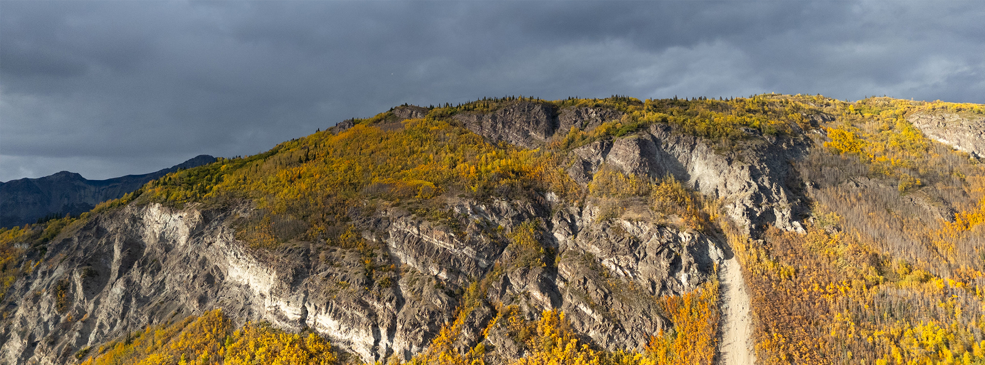 Sheep Ridge Jumbo